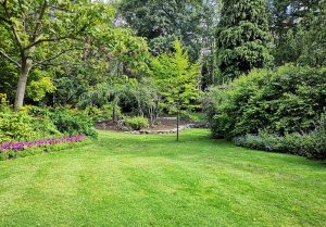 Optimiser l'expérience du jardin à Chaillon